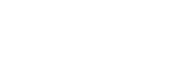 Saller Logo